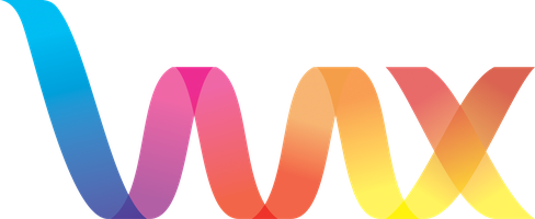 Visual MediaX logo